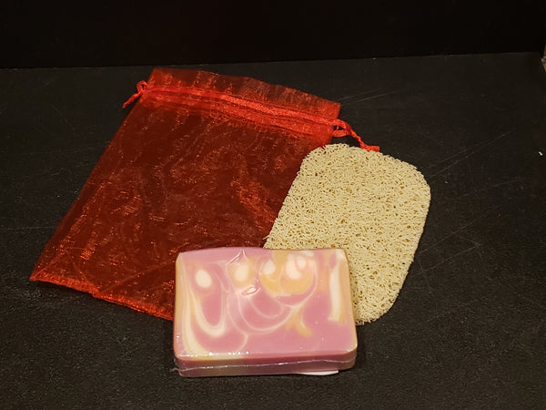 Gift Bag and Soap Saver