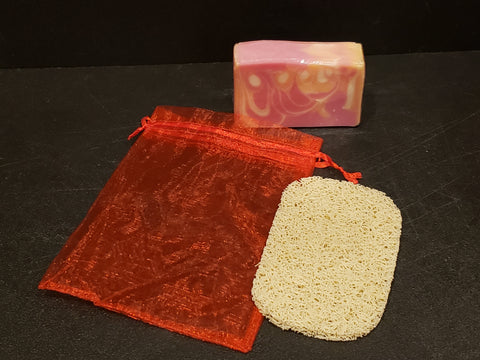 Gift Bag and Soap Saver