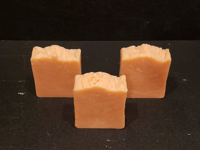 Scrubbie Bar Soap